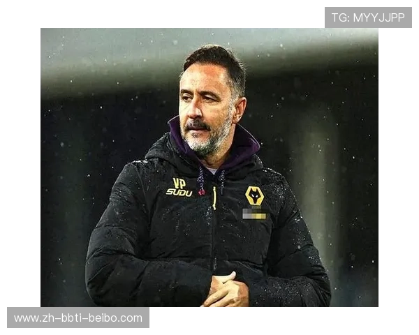 英超球队华人老板：英超联赛中拥有华人老板的球队